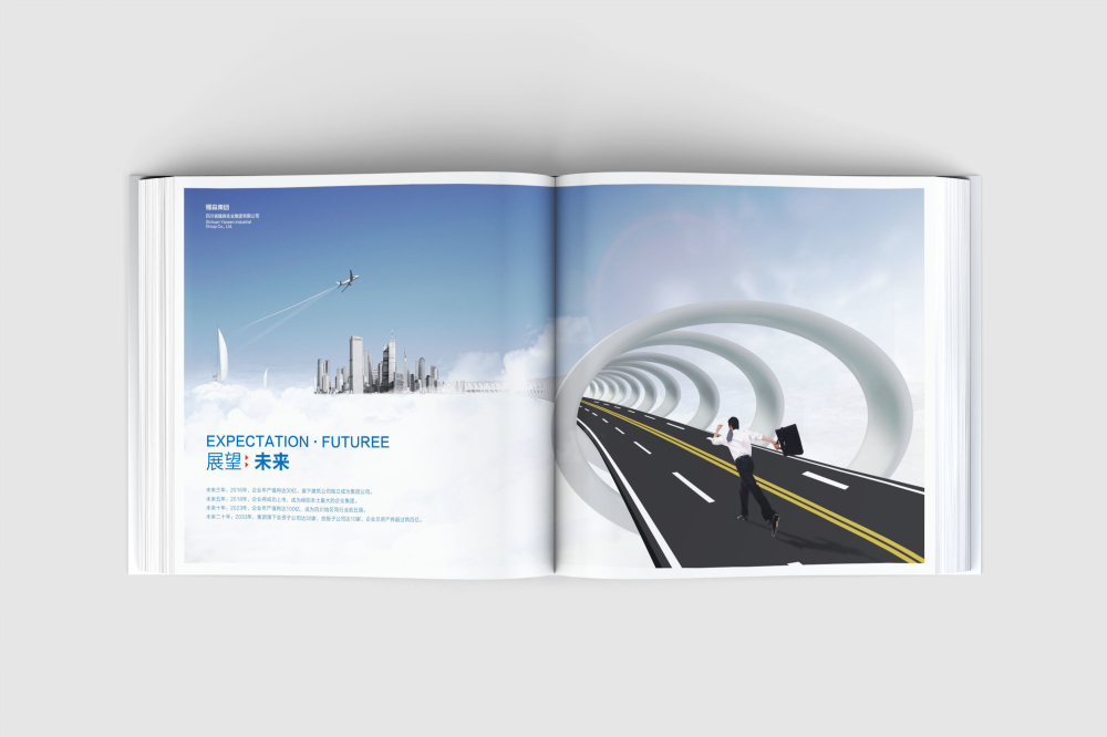 东营画册设计